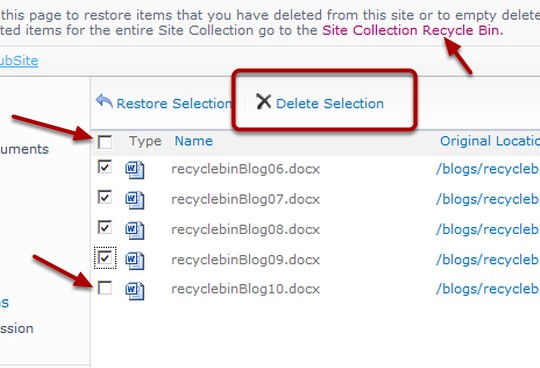 Using_the_Recycle_Bin_Delete_Selection.png