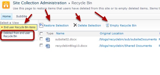 Using_the_Recycle_Bin_Site_Collection_Recycle_Bin_Items.png