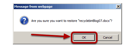 Using_the_Recycle_Bin_accept_the_option_dialog_box..png