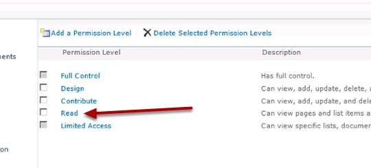 Copy-Read-Permission-Level.png