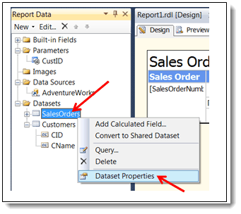 006-SalesOrders-panel-dataset-using-XML-to-find-errors-in-a-SQL-Reporting-Services-Report