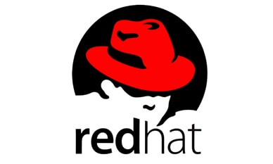 Red Hat Enterprise Clustering and Storage Management Exam Training Logo