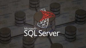 Microsoft SQL Server Training image Interface Technical Training