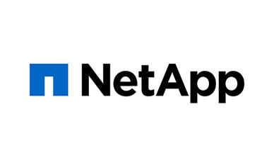 netapp-logo-interface