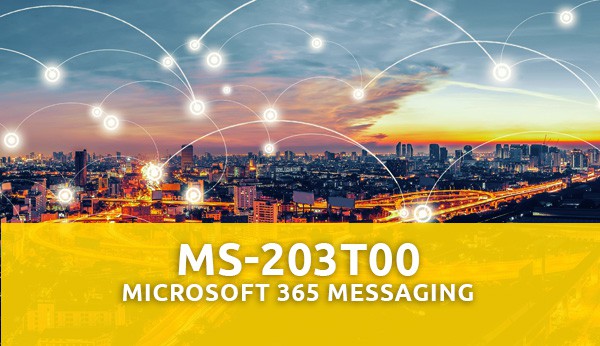 ms203t00